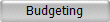 Budgeting
